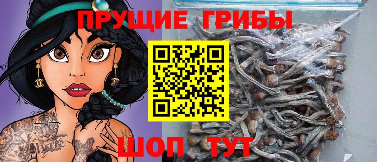 Галлюциногенные грибы MAGIC MUSHROOMS Новый Уренгой