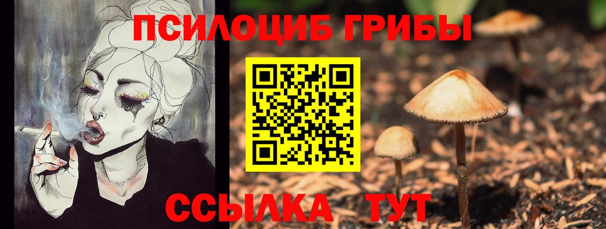 Новый Уренгой  Псилоцибиновые грибы мицелий  Вход с VPN 